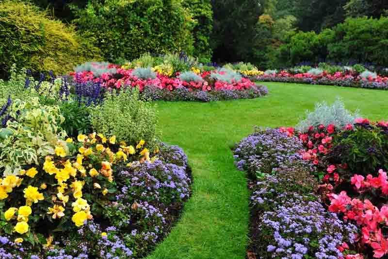 Landscapers charge for planting