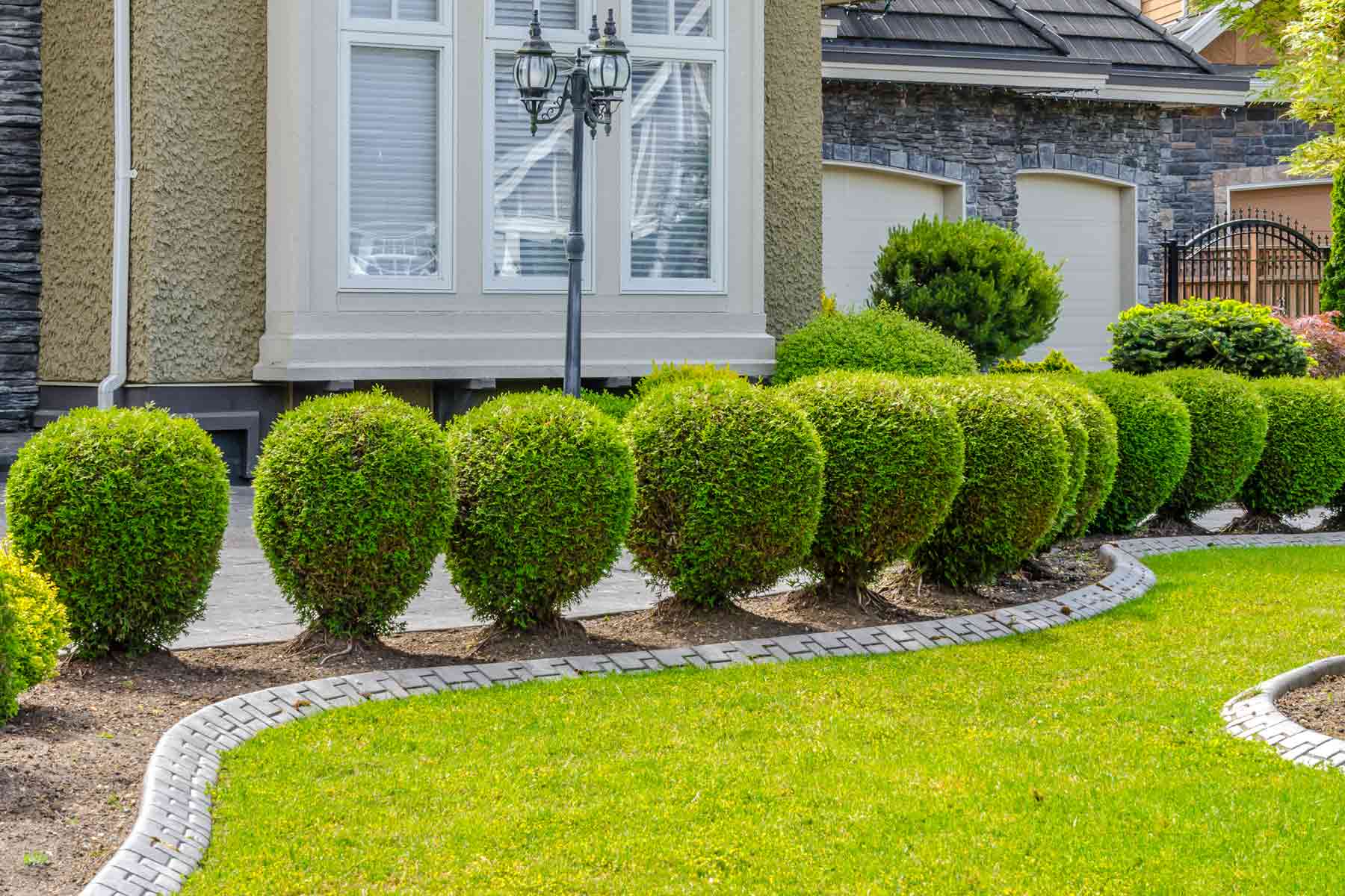 Neatly trimmed shrubs and bushes in a residential front yard.