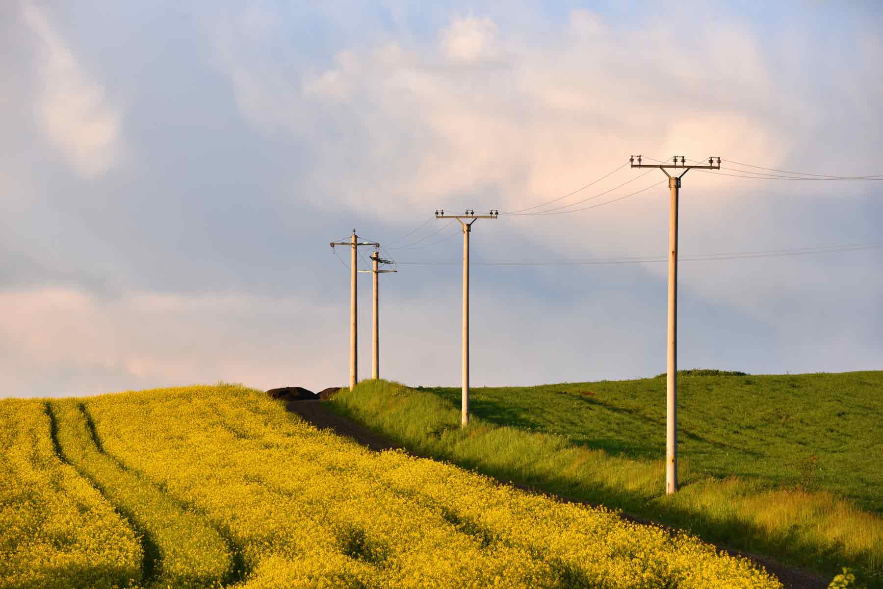 Utility poles bringing electricity and telephone service to property. Utility poles bringing electricity and telephone service to property.