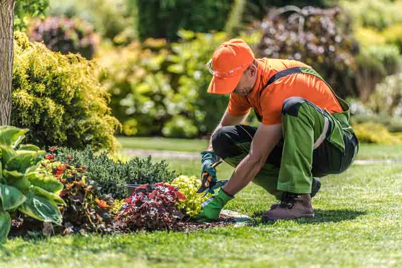 How to start a landscaping business